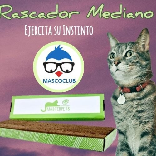Rascador Plano Mediano