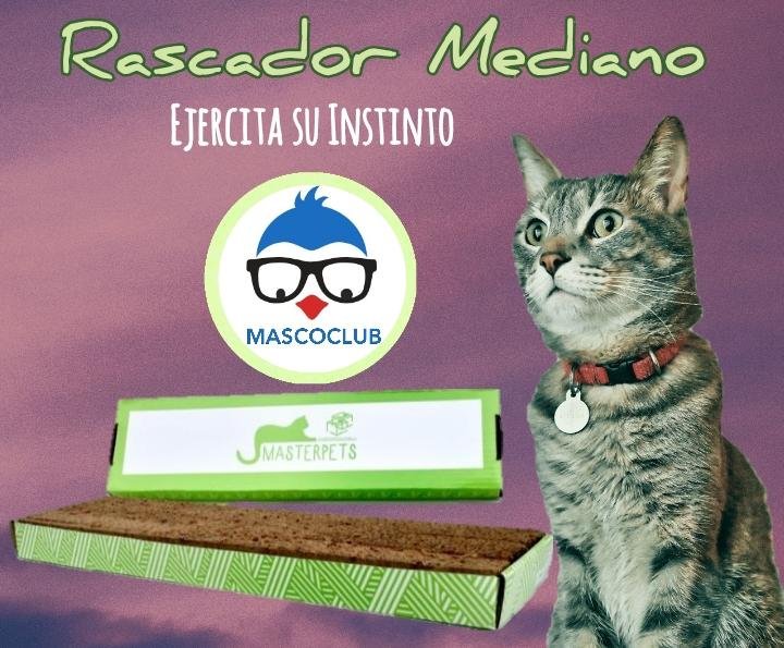 Rascador Plano Mediano