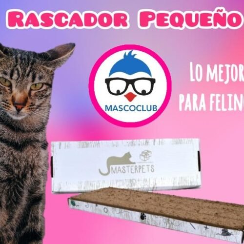 Rascador Plano Pequeño