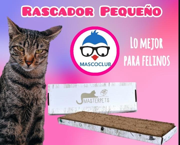 Rascador Plano Pequeño