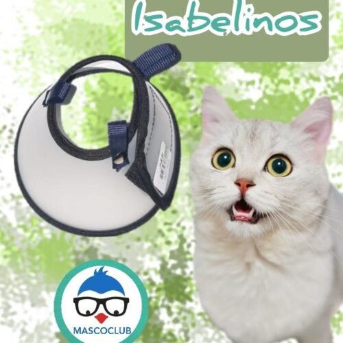 Collares Isabelinos en velcro