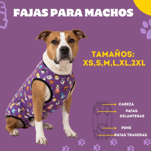 Fajas Postquirúrgicas (MACHOS)