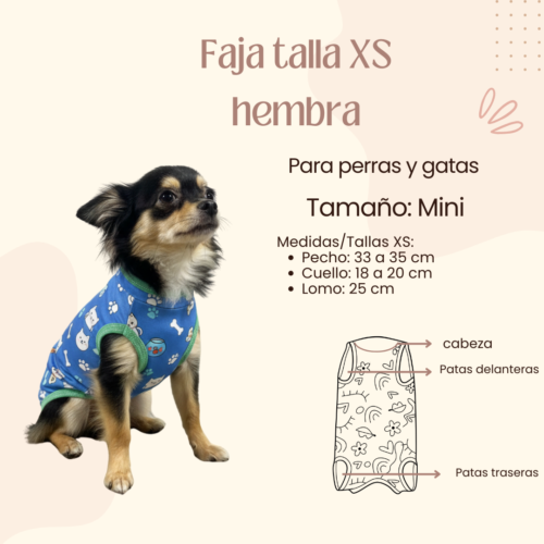 Faja Postquirúrgica Talla XS Hembra