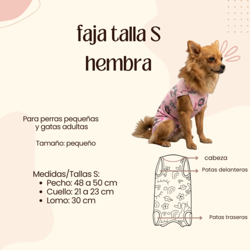 Faja Postquirúrgica Talla S Hembra