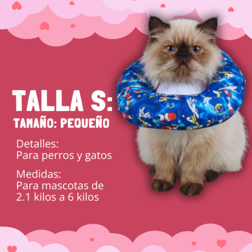 Dona Isabelina Talla S