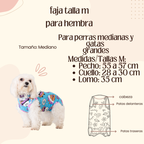 Faja Postquirúrgica Talla M Hembra