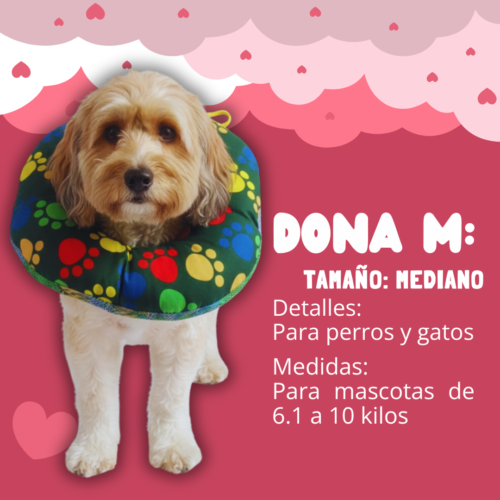 Dona Isabelina Talla M