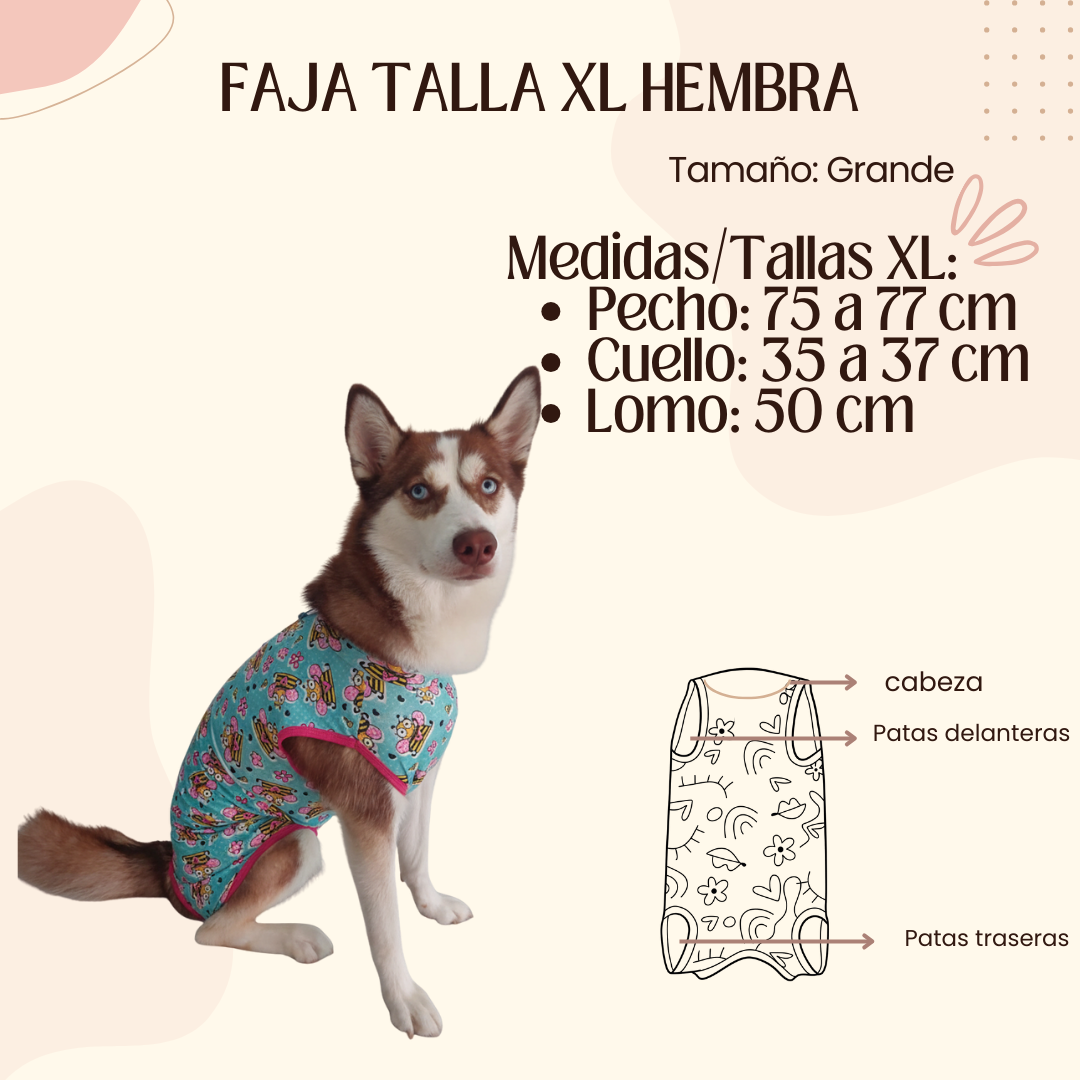 Faja Postquirúrgica Talla XL Hembra