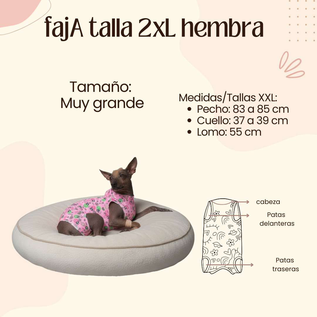 Faja Postquirúrgica Talla 2XL Hembra