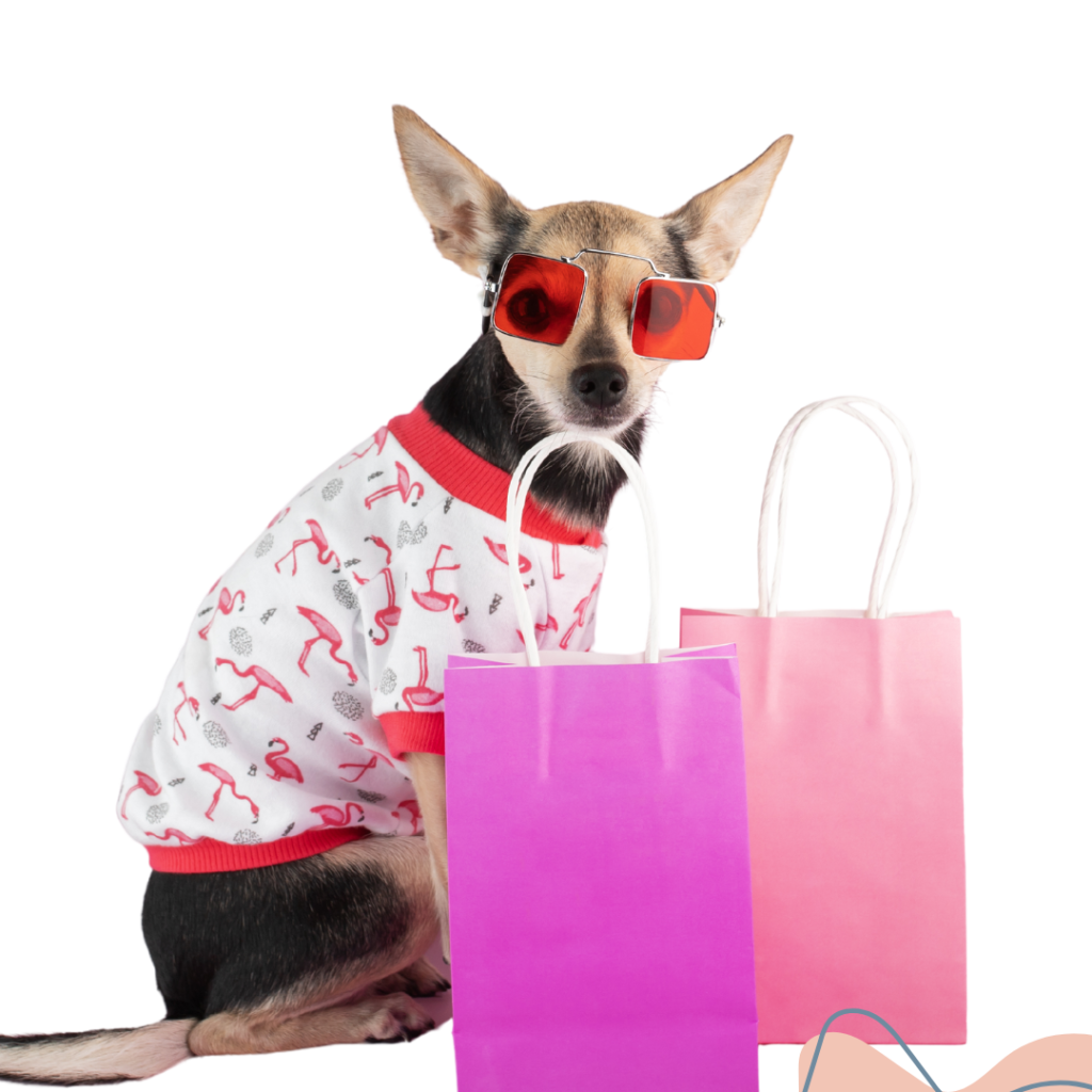 accesorios para Mascotas al por mayor