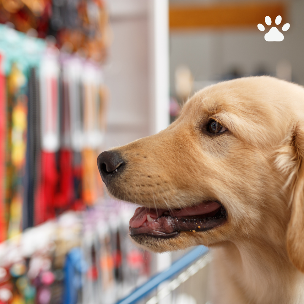 venta a tiendas de mascotas al por mayor