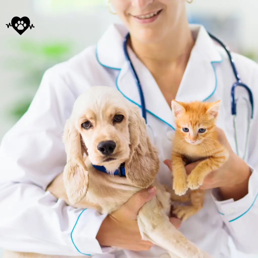 Venta a veterinarias al por mayor