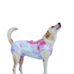 Faja hembra 2