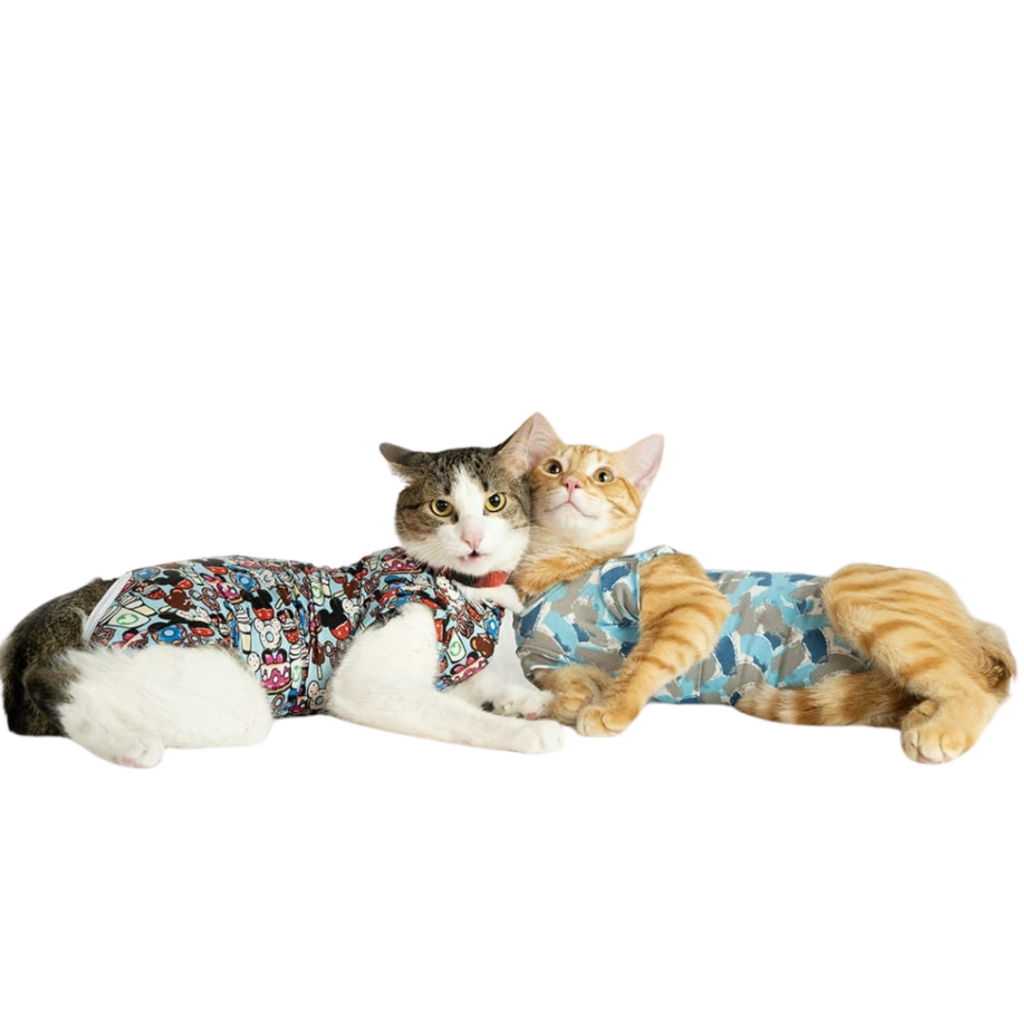 Faja para gatos