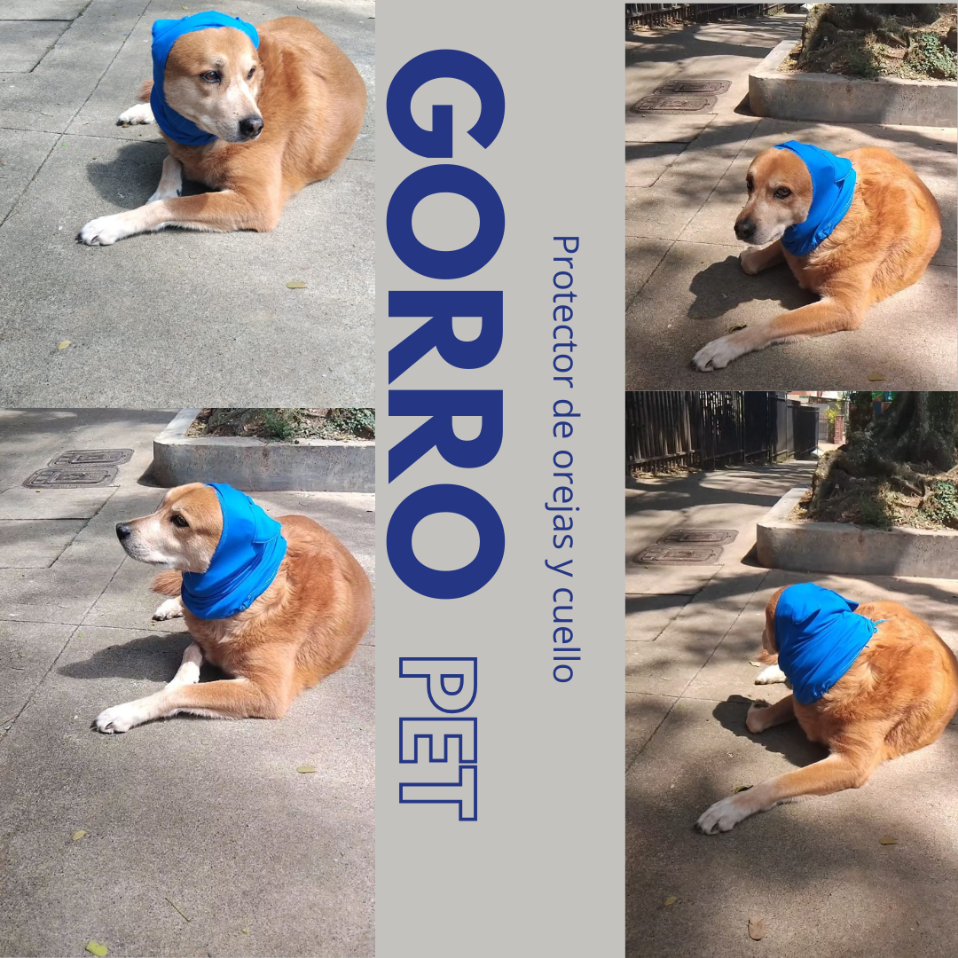 Gorro Pet - Protector de orejas
