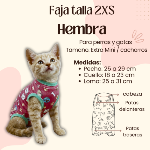 Faja Postquirúrgica Talla 2XS Hembra