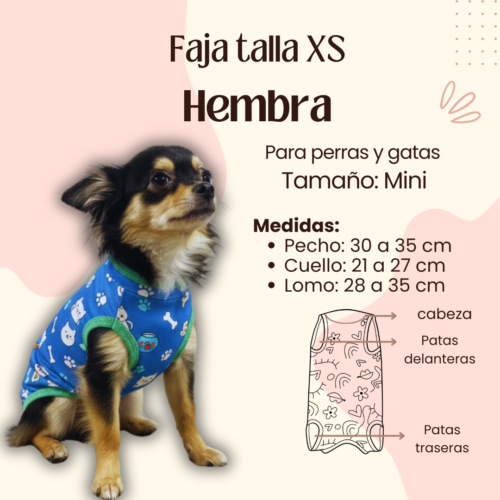 Faja Postquirúrgica Talla XS Hembra