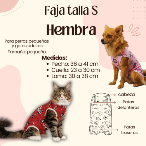 Faja Postquirúrgica Talla S Hembra