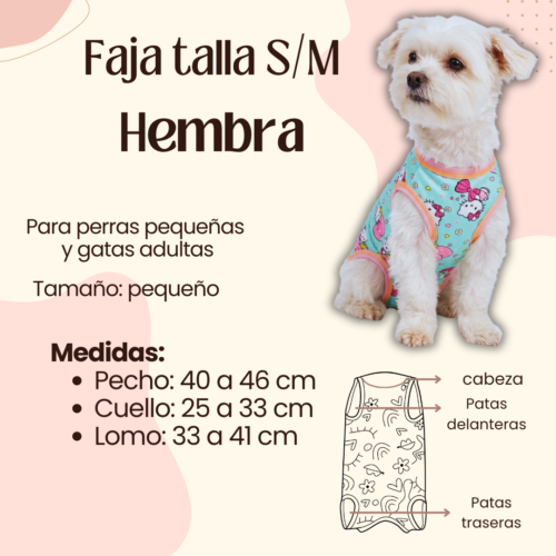 Faja Postquirúrgica Talla S/M Hembra
