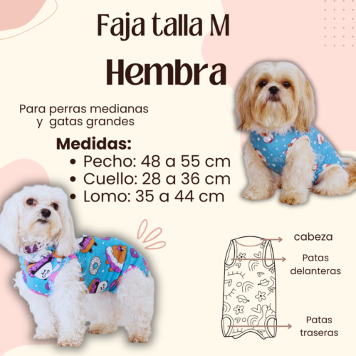 Faja Postquirúrgica Talla M Hembra