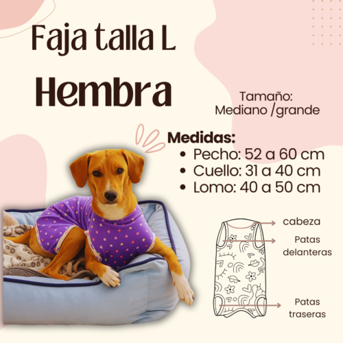 Faja Postquirúrgica Talla L Hembra