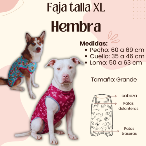 Faja Postquirúrgica Talla XL Hembra