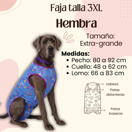 Faja Postquirúrgica Talla 3XL Hembra