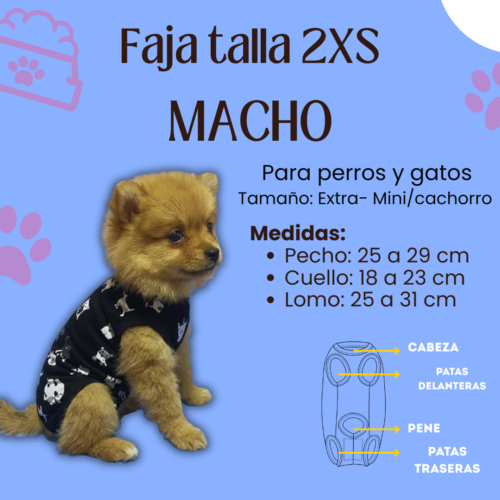 Fajas Postquirúrgica (MACHO) - Talla 2XS