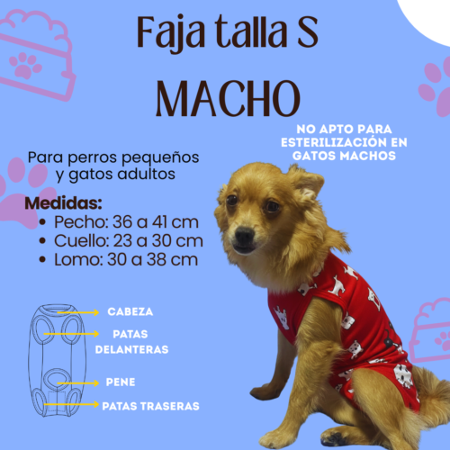 Fajas Postquirúrgica (MACHO) - Talla S