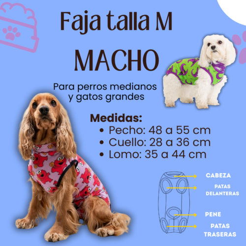 Fajas Postquirúrgica (MACHO) - Talla M