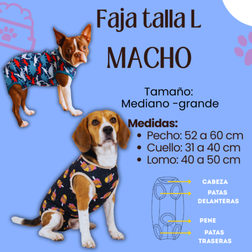 Fajas Postquirúrgica (MACHO) - Talla L