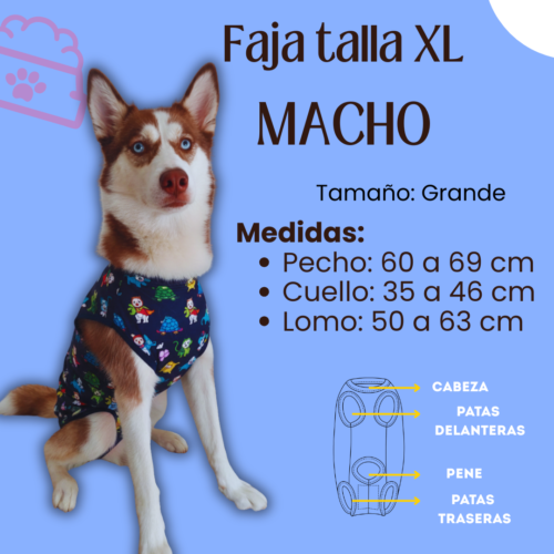 Fajas Postquirúrgica (MACHO) - Talla XL
