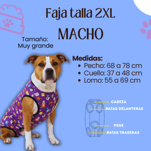 Fajas Postquirúrgica (MACHO) - Talla 2XL
