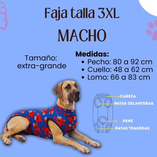 Fajas Postquirúrgica (MACHO) - Talla 3XL