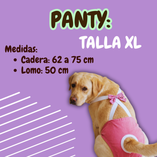 Panty para perro - Talla XL