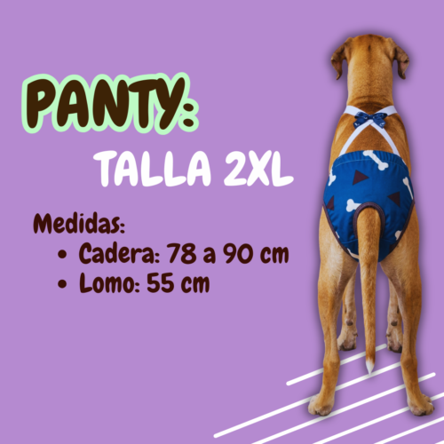 Panty para perro - Talla 2XL